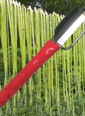 莴笋专用削皮刀土豆水果大号多功能刮皮器贡菜苔干莴苣刀左手右手