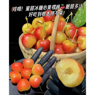新品种大将锦黄樱桃冰糖脆自家果园现摘现发新鲜顺丰包邮5斤