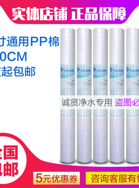 爱惠浦净水器20寸pp棉 滤芯5微米通用滨特尔净水机 过滤芯前置