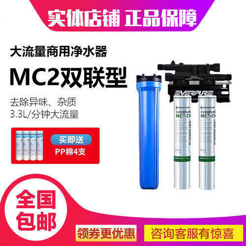 爱惠浦净水商用双联机直饮水机