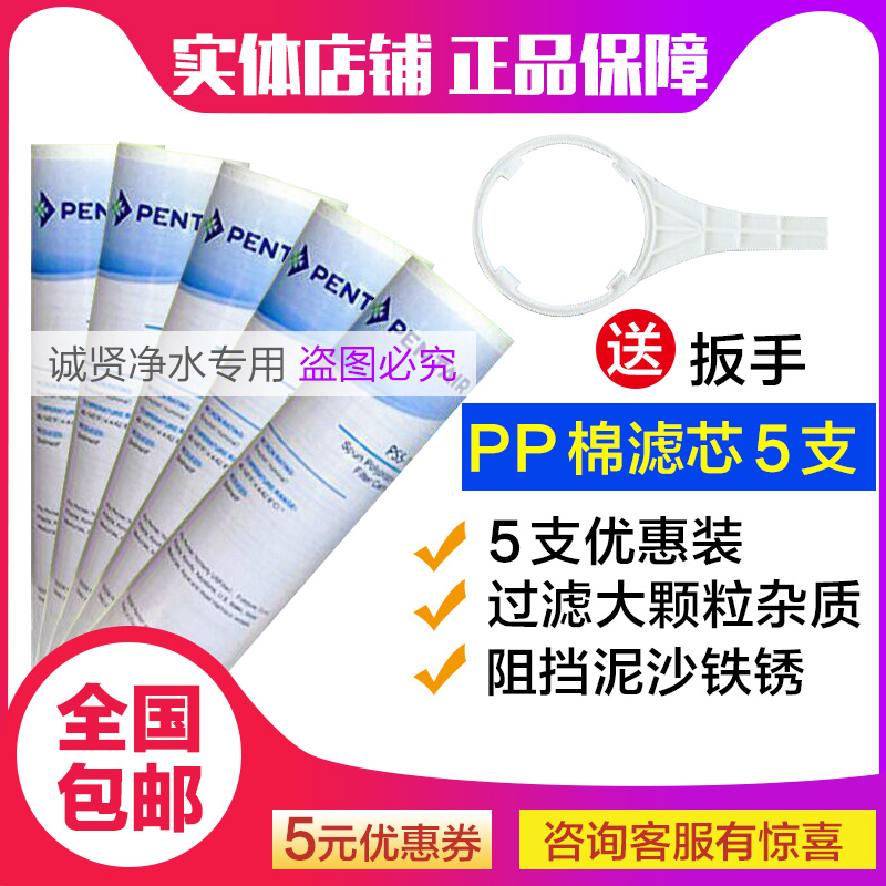 美国爱惠浦净水器滤芯pp棉5支装10寸5微米通用净水机前置过滤器棉