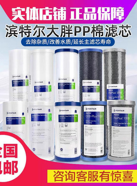 滨特尔10寸20寸大蓝瓶大胖PP棉RFC滤芯DFX GAC活性炭复合滤芯家用