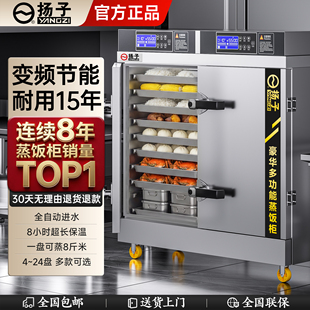 双门蒸饭柜商用电蒸箱大型24盘食堂煤燃气蒸饭车蒸饭机米饭蒸饭箱