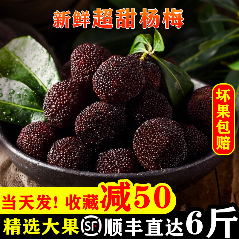 云南杨梅新鲜孕妇当季水果6斤现摘现发福建慈溪非仙居东魁大杨梅