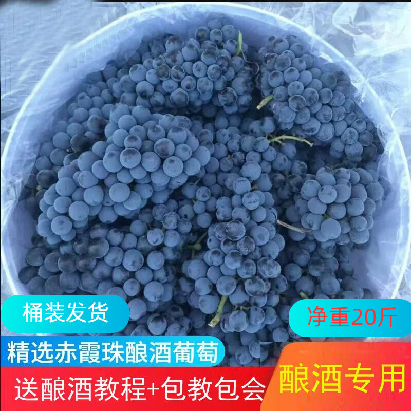 宁夏贺兰山葡萄赤霞珠酿酒葡萄新鲜泡酒做酒自酿专用小黑刺葡萄