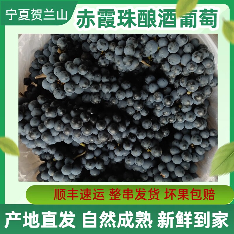 40斤宁夏赤霞珠酿酒专用葡萄新鲜做葡萄酒的山葡萄整箱小黑葡萄