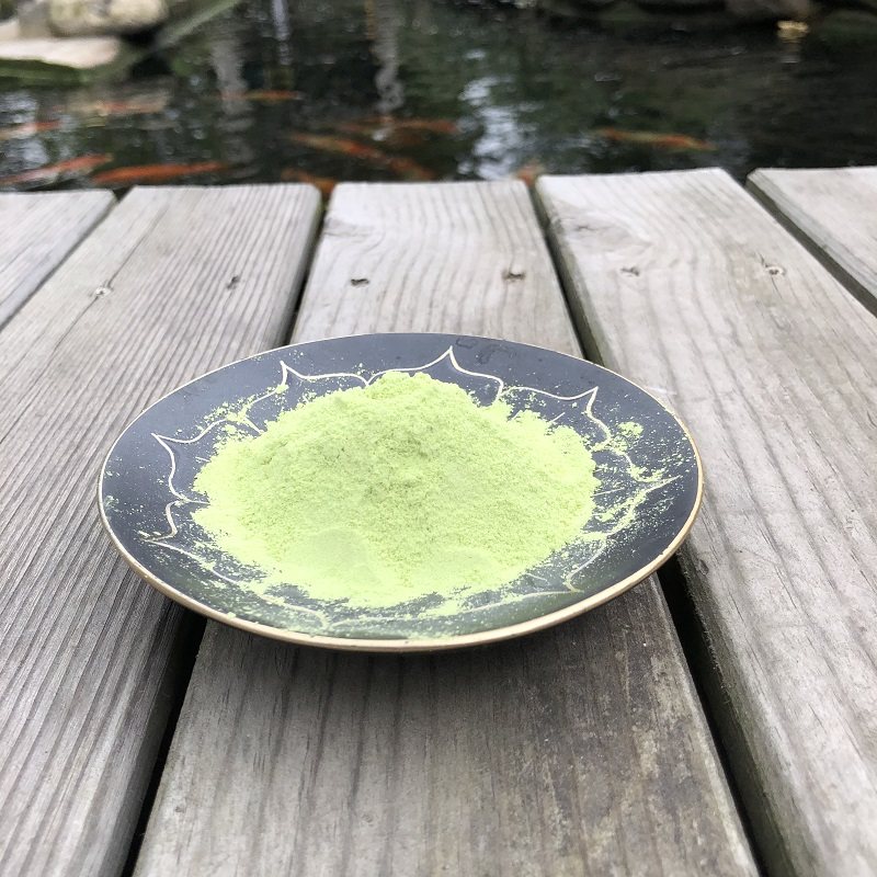 绿粉进口日本锦鲤鱼金鱼鱼缸鱼池用烂鳃水霉白毛