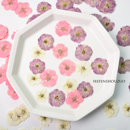 河粉手作真花压花diy相框装饰