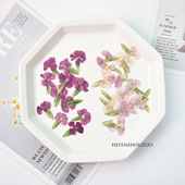 双色石竹干花压花相思梅真花客厅装 饰diy幼儿园手工制作材料滴胶