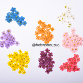 美妆贴ins网红同款 滴胶压花手机壳材料 迷你真花压花 水仙花