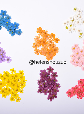 水仙花 迷你真花压花 滴胶压花手机壳材料 美妆贴ins网红同款