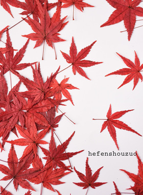 双色枫叶真花压花手工材料幼儿园作业diy书签红色落叶滴胶秋冬