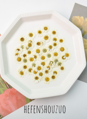 河粉手作真花压花洋甘菊手工材料