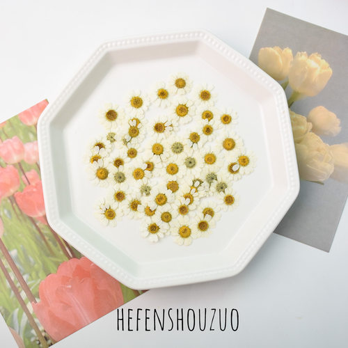 河粉手作真花压花洋甘菊手工材料