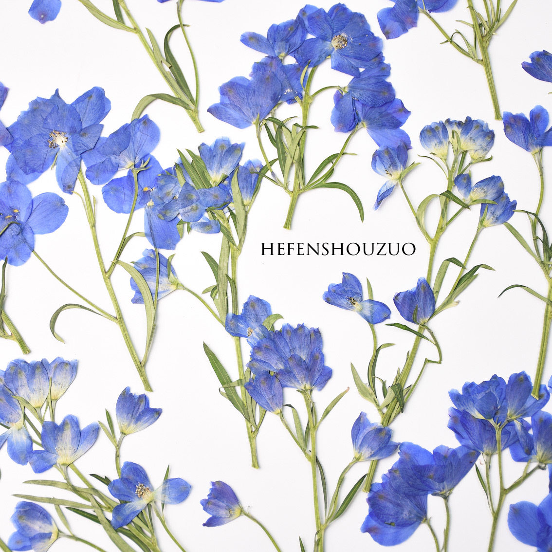 带枝小飞燕真花压花天然植物梦幻蓝色ins相框材料滴胶杯垫封入物,家居饰品,干花/花瓣/干花包/干树枝,淘宝优惠券,粉丝福利购,淘宝优惠卷