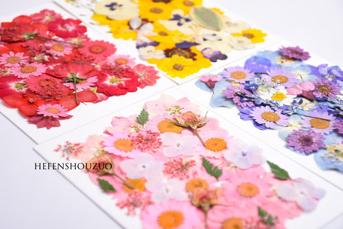 植物标本组合装幼儿园手工材料真花压花混合diy干花台灯装饰画 - 封面