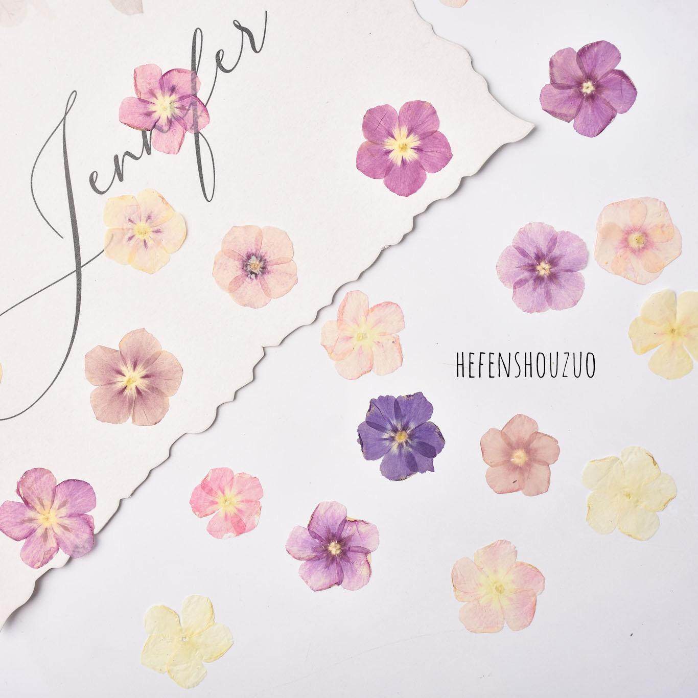 河粉手作 混色福禄考真花压花手工diy材料滴胶饰品 滴胶鲜花杯垫,家居饰品,干花/花瓣/干花包/干树枝,淘宝优惠券,粉丝福利购,淘宝优惠卷