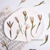 双叶百合干花压花婚礼请柬diy封口花百合真花ins风滴胶手工材料