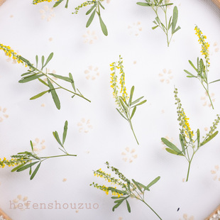 带枝草木犀干花ins小清新田园干花花束滴胶diy杯垫手工模具封入物