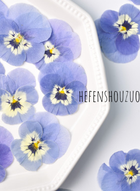 淡蓝色三色堇真花压花diy手工材料干花相框装饰咖啡装饰点缀