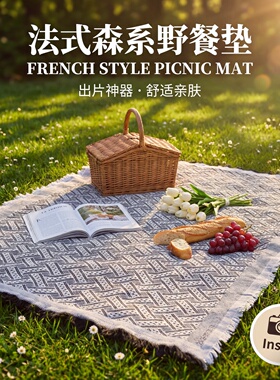 春日野餐垫防潮垫野餐布户外露营白色毯子沙滩垫帐篷公园地垫法式
