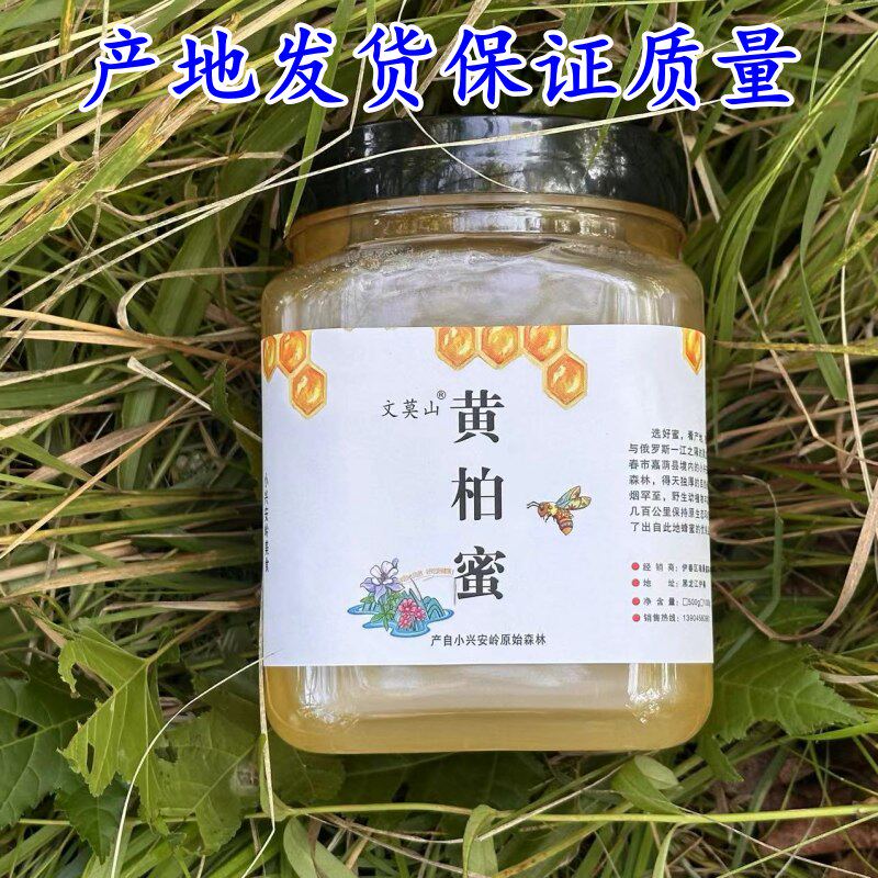 黄柏蜜小兴安岭蜜源黄菠萝树花蜜伊春特产结晶蜜过滤蜜农家蜂蜜