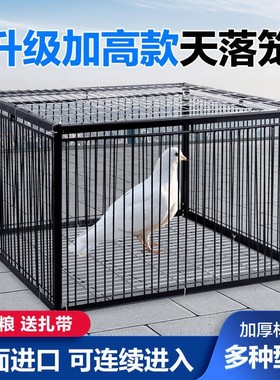 捕子野鸽神器天落笼撞门鸽子笼户外全自动特大号户外收回归活动门