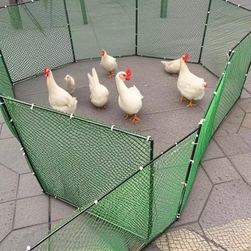 鸡鸭鹅围栏养殖专用鸭子笼子小型隔离农村宠物鸡舍加固折叠式室外