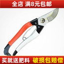 枝剪 园艺剪刀园艺工具修枝剪粗树枝剪修花剪刀花木修剪工具