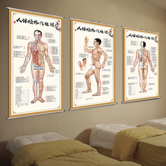 人体经穴与病症对照挂图中医人体经络穴位图高清真人身体按摩海报