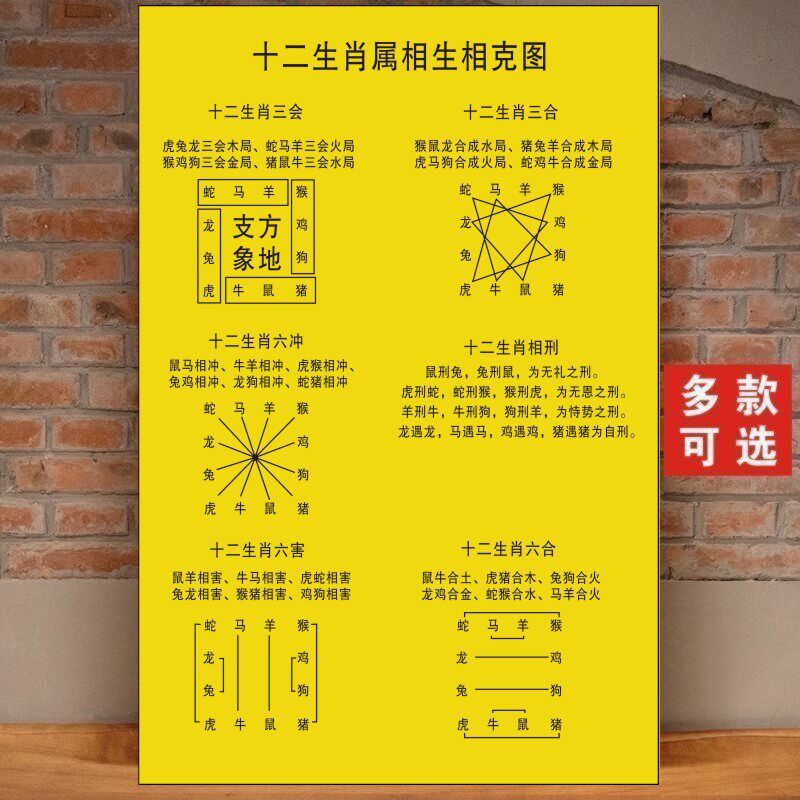 十二生肖相合相生相克三会六冲相刑相害图易学基础知识图背胶画
