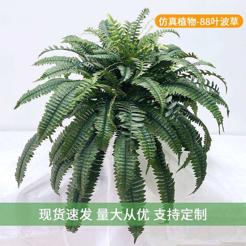 88叶波斯草家居装饰挂墙真蕨类植物波斯草热销布景摆件
