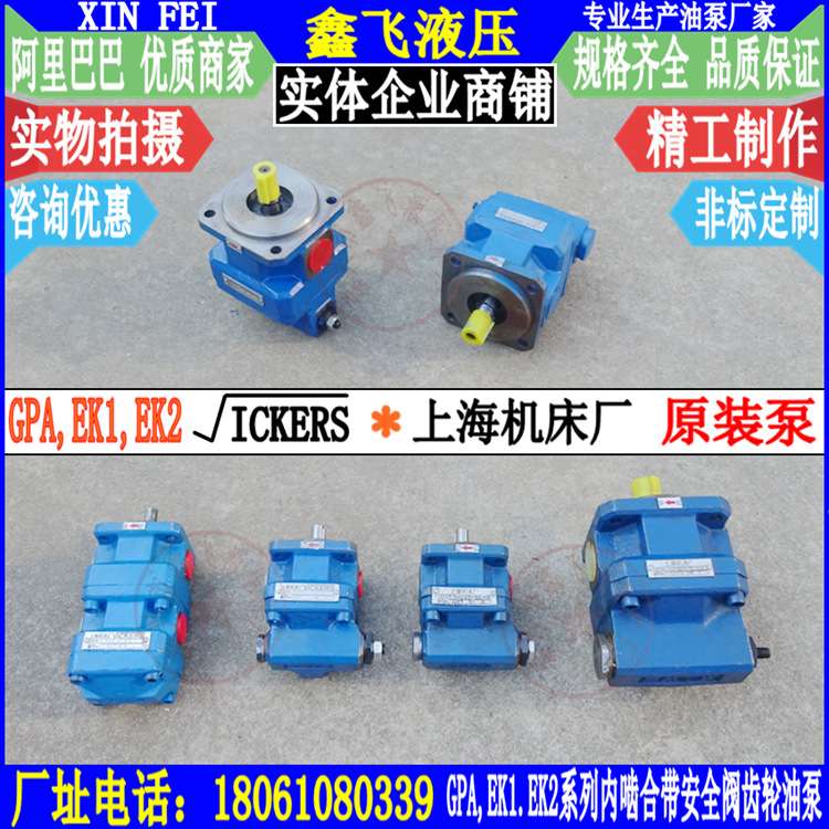 GPA3-25 40 63 EK1 EK2 20 R6.3 R63内啮合齿轮油泵上海机床厂