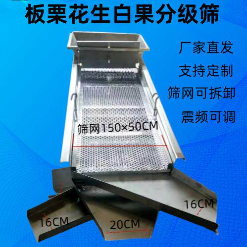 自动分选机栗子蓝莓莲子桑葚李子震动分选筛白果板栗大小分级筛