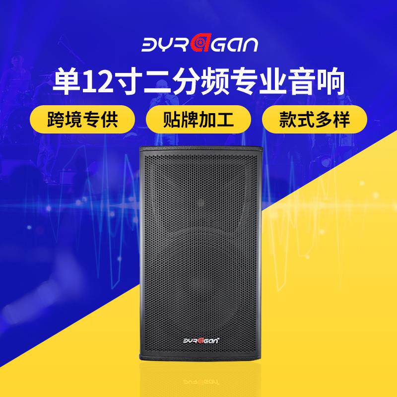 单12寸分频专业音箱舞台功放演出套装会议室音响培训大功率
