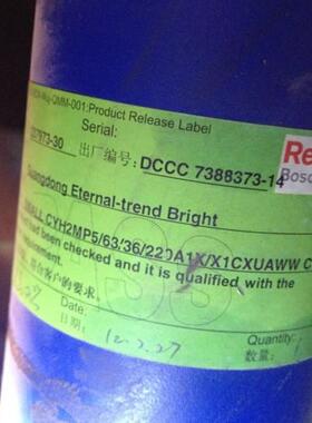 CDM1MT4/100/70/120A2X/B24CHDMWW德国力士乐液压缸