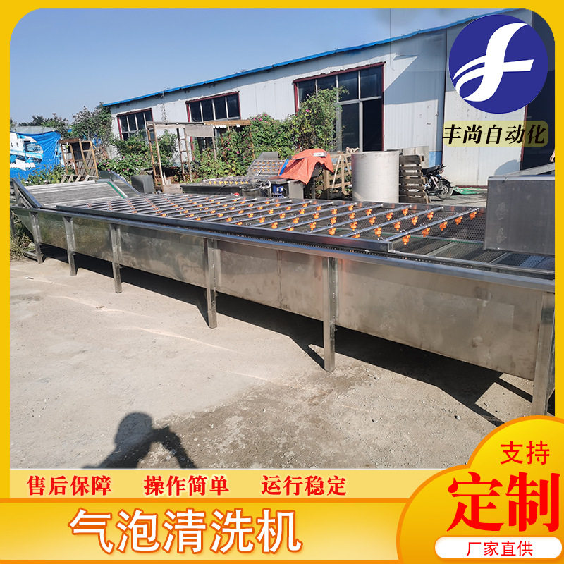 小型全自动果蔬气泡清洗机