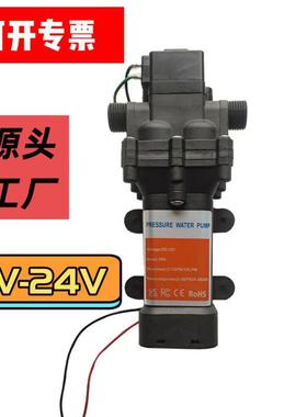 博今DP160隔膜泵12V24V洗车机10-12L大流量泵花园浇花智能水泵洗