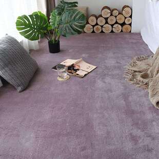 少女加厚地毯卧室床边满铺儿童房间客厅茶几阳台飘窗进门定作地垫