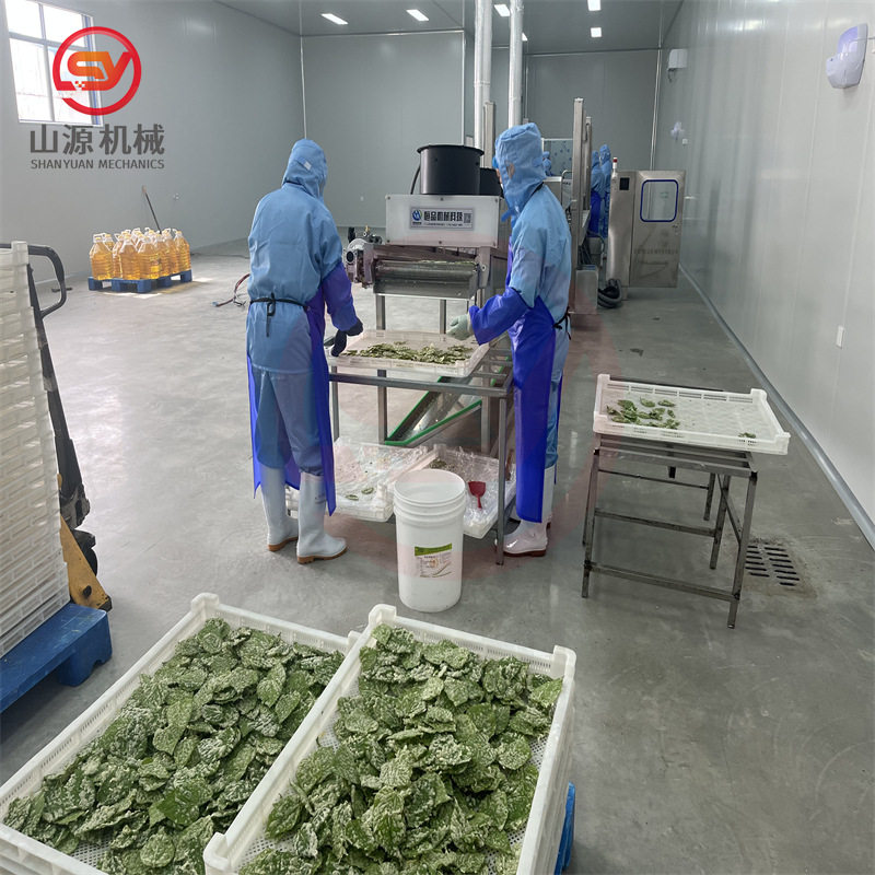 天妇罗海苔上浆机 全自动新款上浆油炸流水线 香酥翠叶油炸设备