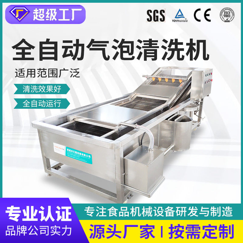 优惠净菜清洗设备杨梅草莓 辣椒水果清洗机 果蔬气泡清洗机