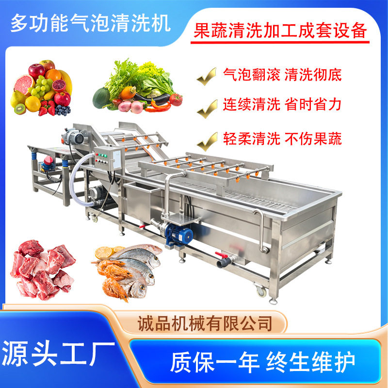 全自动大型商用叶菜类洗菜机净菜清洗机豆芽土豆西红柿清洗机