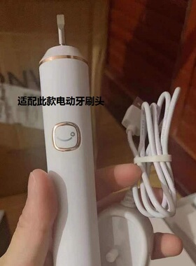 适配净乐适电动牙刷头F1/F506替换头Kissimee岂止美电动牙刷头W9