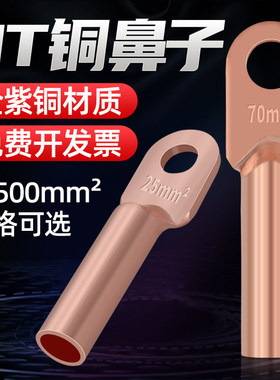 镀锡堵油铜鼻子铜接头接线端子线耳铜线鼻子DT10/16/25/35/50/70