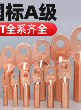 凤凰DT国标A级加厚铜鼻子紫铜电线鼻纯铜接线端子电缆线冷压端子