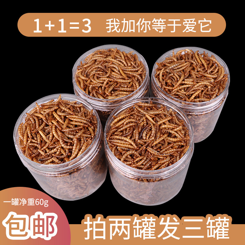 仓鼠粮食刺猬面包虫干黄粉虫粮仓鼠用品仓鼠主粮零食物面包虫罐装在类目 宠物/宠物食品及用品, 仓鼠类及其它小宠, 饲料/零食中 - 来自Buy2taobao.com提供专业的淘宝代购服务