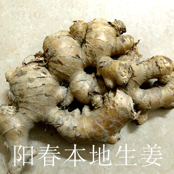 阳春特产生姜老姜新鲜大肉姜农户采挖无硫老生姜少渣辣味浓香大姜