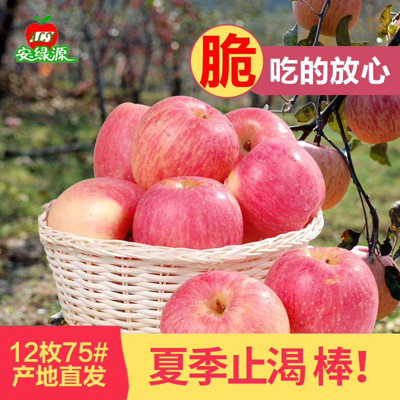 安绿源 陕西白水苹果新鲜脆甜红富士苹果12枚75#中果非洛川苹果在类目 水产肉类/新鲜蔬果/熟食, 新鲜水果, 苹果中 - 来自Buy2taobao.com提供专业的淘宝代购服务
