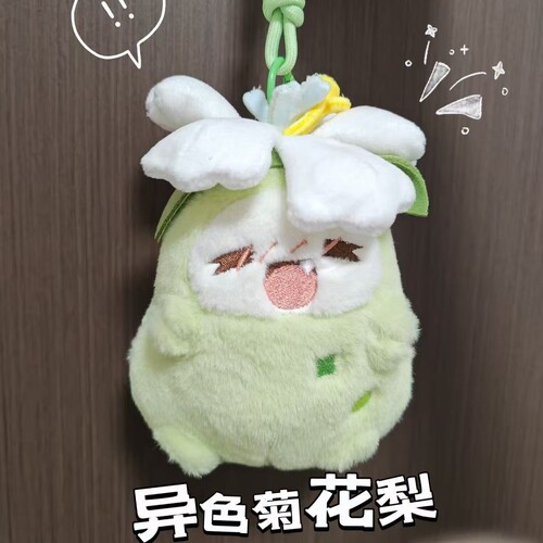 挖到了肥美可爱的异色菊花梨