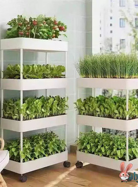 不占地多层种菜神器家庭阳台种植箱果蔬盆塑料花盆长方形槽顶楼家
